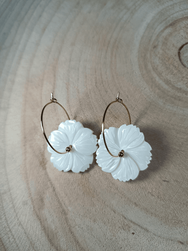 Boucles d&#039;oreilles 